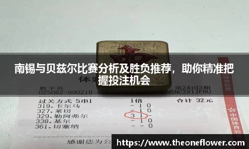 南锡与贝兹尔比赛分析及胜负推荐，助你精准把握投注机会