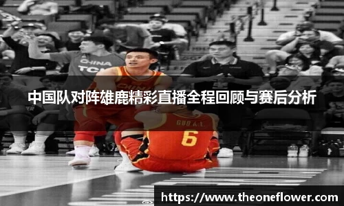 中国队对阵雄鹿精彩直播全程回顾与赛后分析