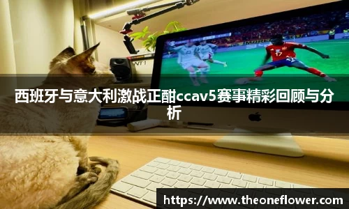 西班牙与意大利激战正酣ccav5赛事精彩回顾与分析