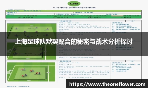 上海足球队默契配合的秘密与战术分析探讨