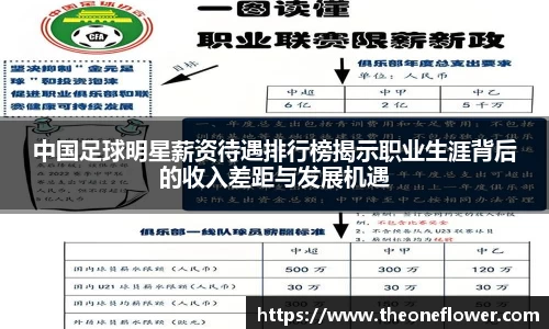 中国足球明星薪资待遇排行榜揭示职业生涯背后的收入差距与发展机遇
