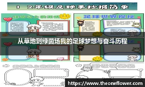 从草地到绿茵场我的足球梦想与奋斗历程