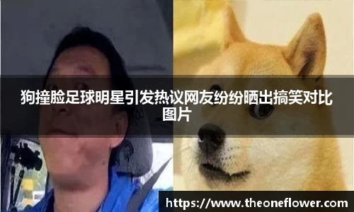 狗撞脸足球明星引发热议网友纷纷晒出搞笑对比图片