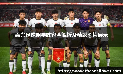 嘉兴足球明星阵容全解析及精彩照片展示